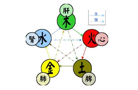 五行 火|五行（对万事万物的取象比类）